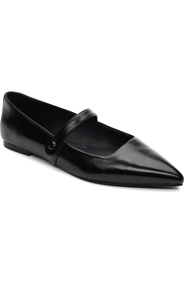 Sanctuary Clamour Pointed Toe Flat, Main, color,
