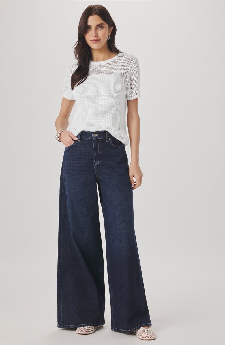 Splendid Yasmine Pointelle Short Sleeve Sweater, Alternate, color, White