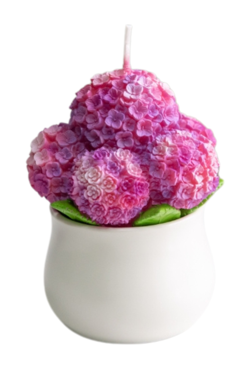 Hydrangea Candle