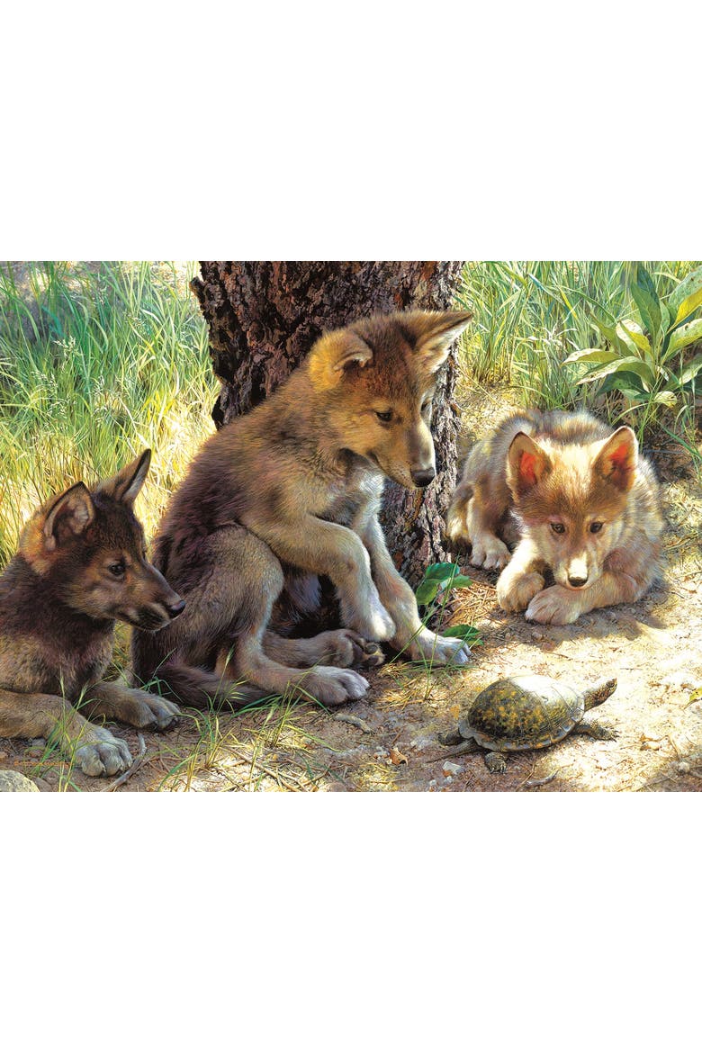 The Shell Game 500 piece Jigsaw Puzzle for Adults, Alternate, color, Multicolor