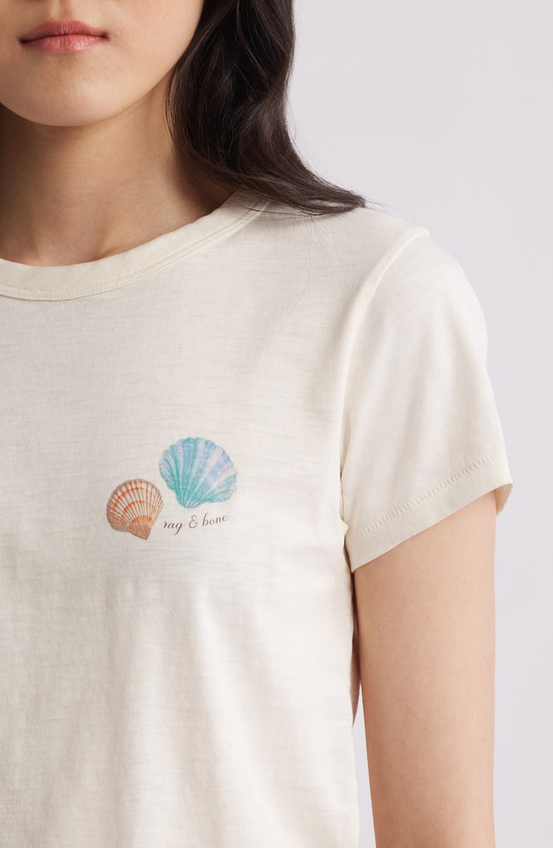 rag & bone Seashell Cotton Graphic T-Shirt, Alternate, color, Ivory/ Turtle Dove