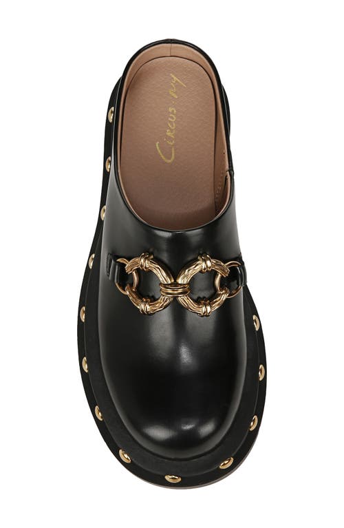 Circus Ny By Sam Edelman Annie Studded Clog In Black