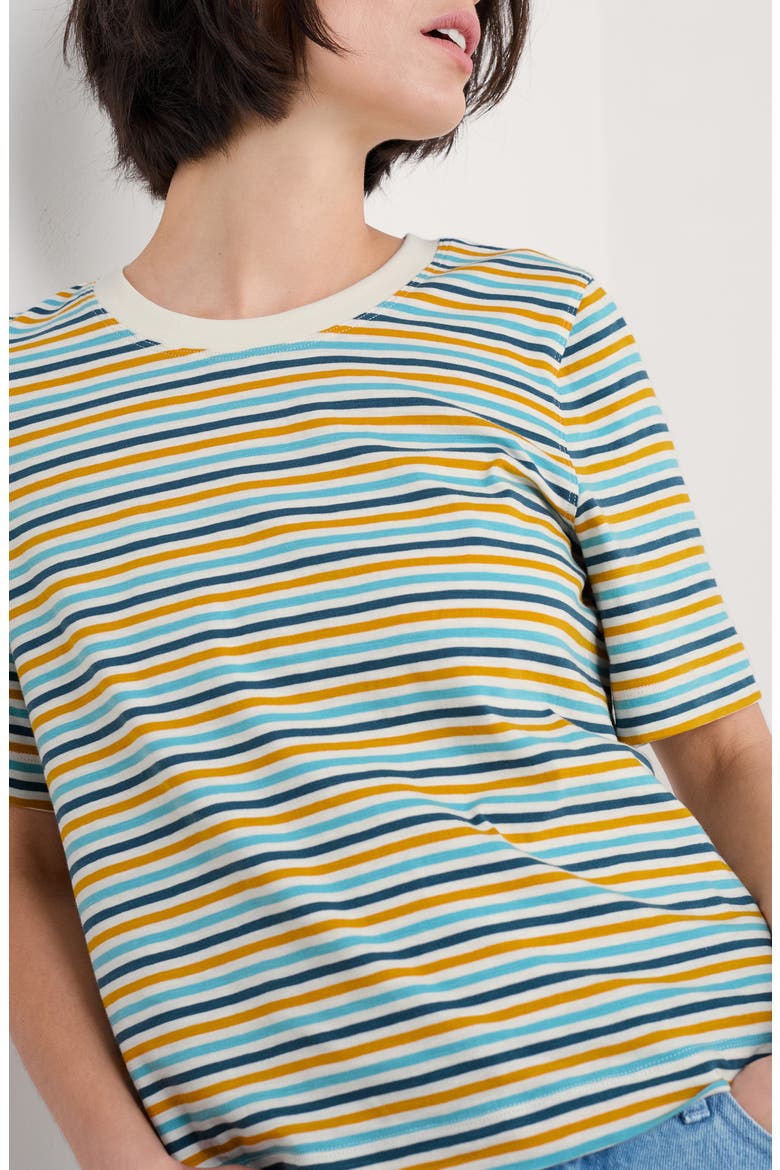 Copseland Stripe Organic Cotton T-Shirt, Alternate, color, PELLITRAS TUMERIC