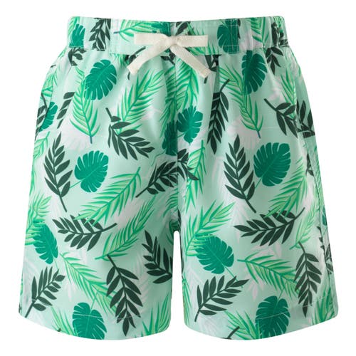 Rachel Riley Boy's Palm Tree Swim Trunks In Green