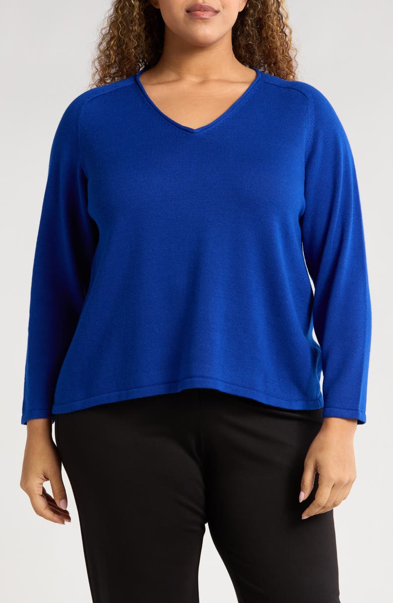 Eileen Fisher V-Neck Sweater, Main, color, 