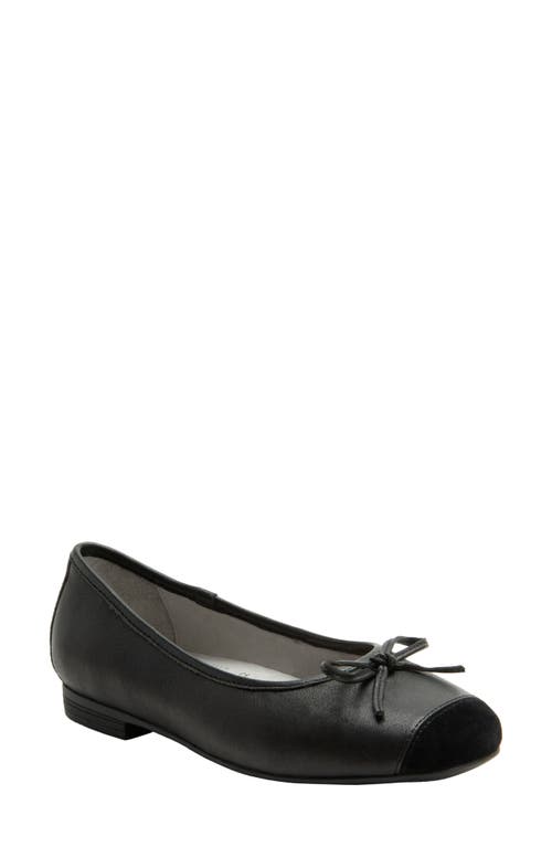 Alegria By Pg Lite Talya Cap Toe Ballet Flat In Black