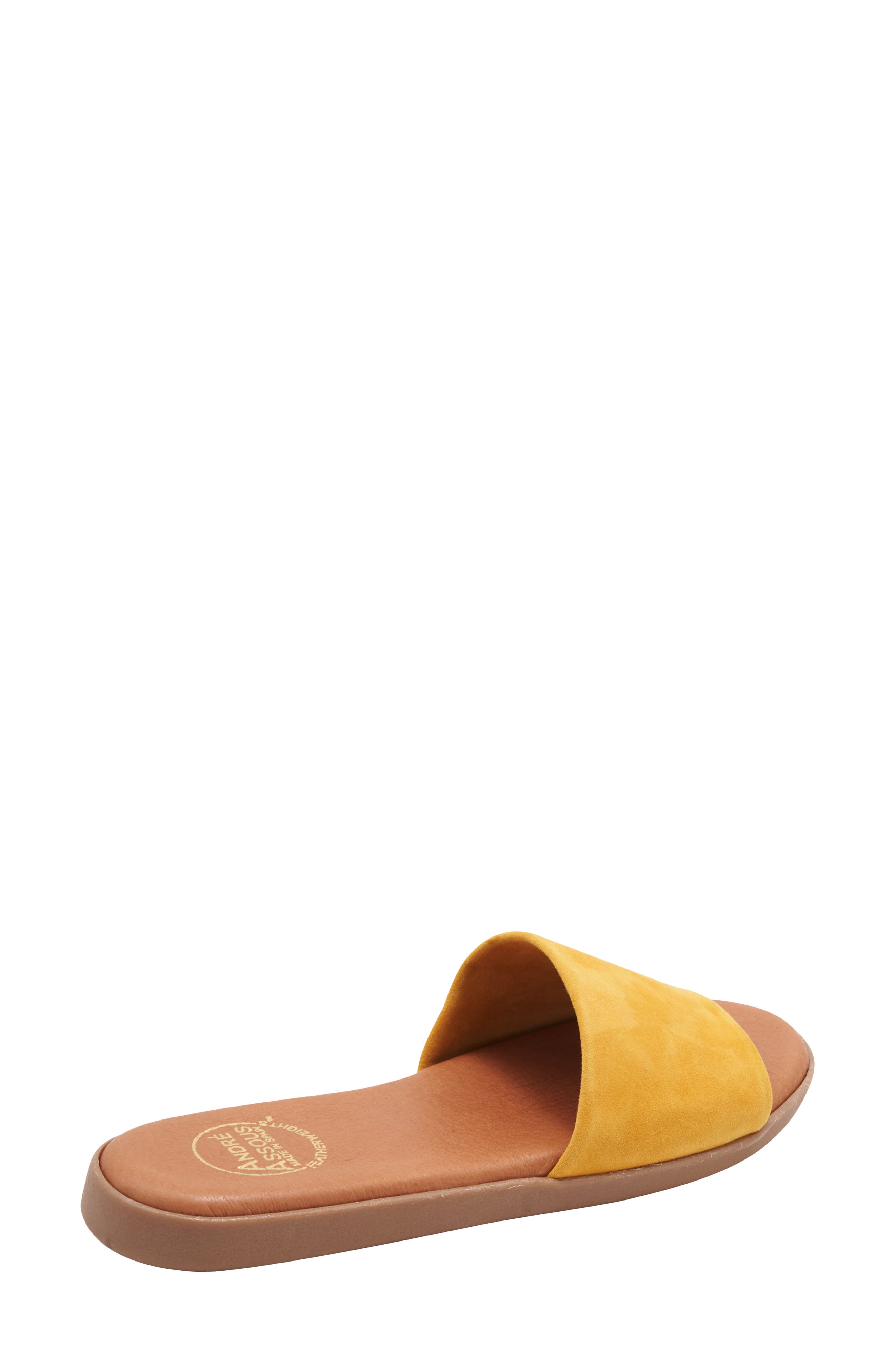 André Assous Paloma Woven Slide Sandal, Alternate, color, Lemon