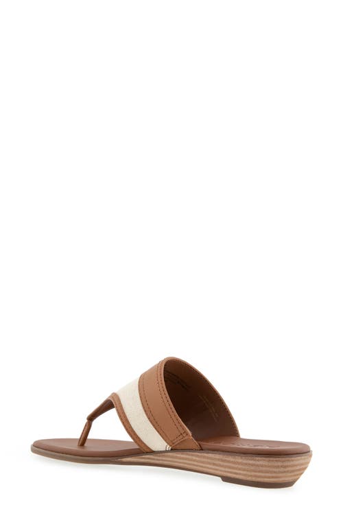 AEROSOLES AEROSOLES GESA THONG SANDAL