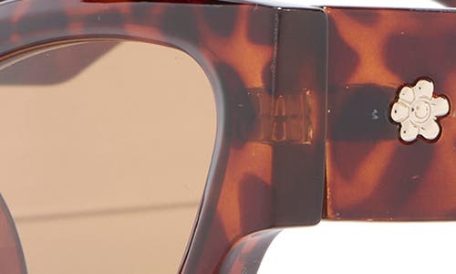 Le Specs Charade 52mm Cat Eye Sunglasses In Brown