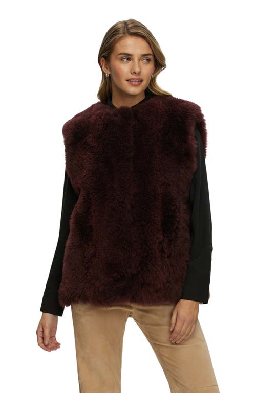 Gorski Cashmere Goat Vest In Black