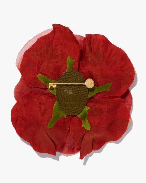 Helena Simon The Orange Poppy In Orange