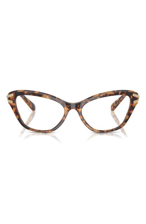 Swarovski 55mm Cat Eye Optical Glasses In Lite Havana