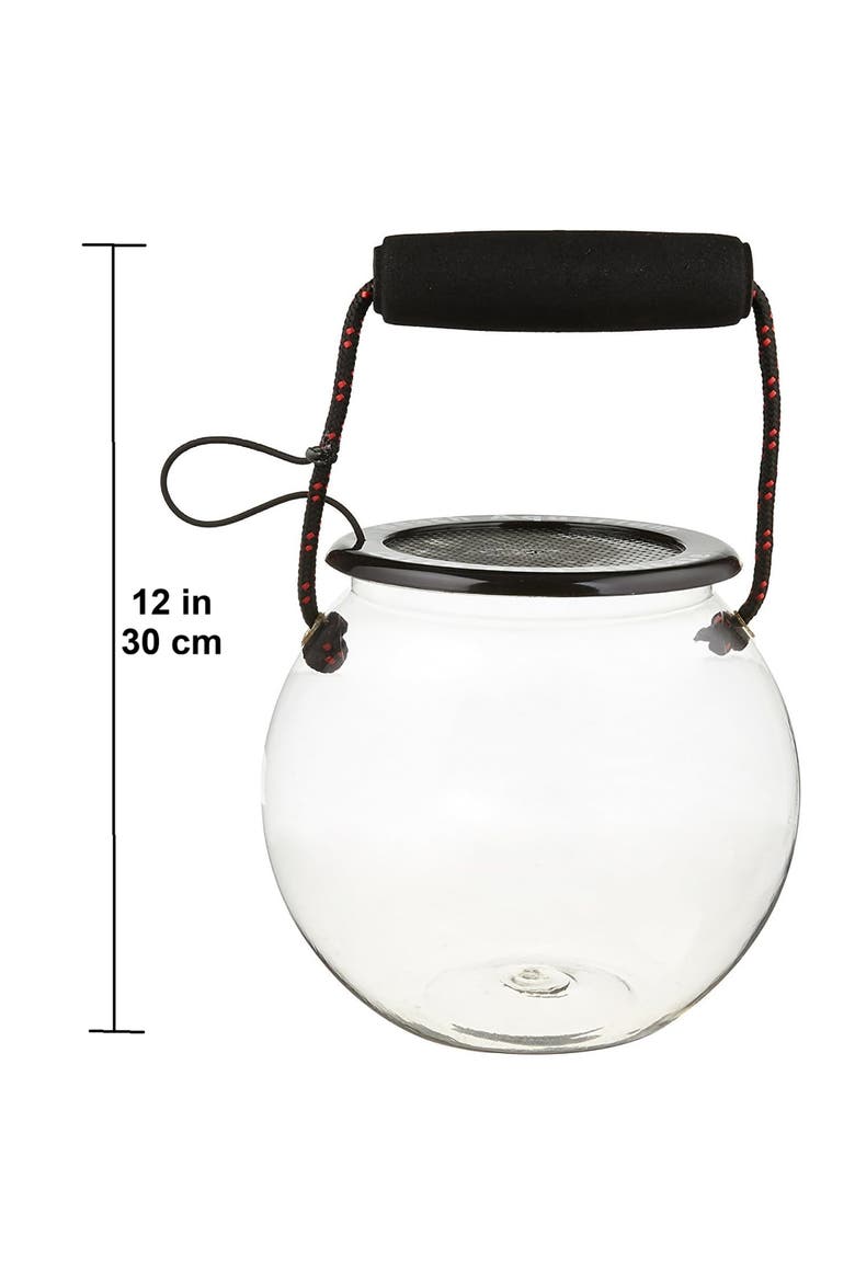 Catch & Release Beach Aquarium, Clear Terrarium Orb, Alternate, color, Multicolored