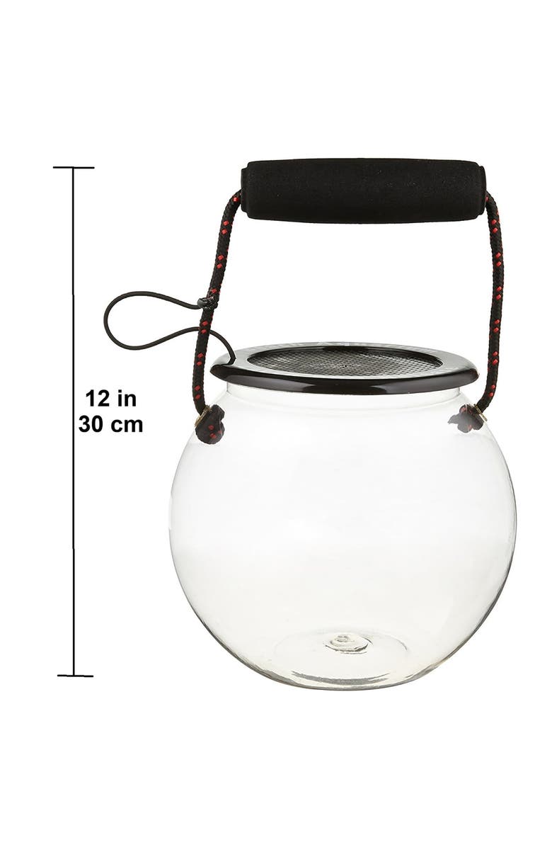 Dry Branch Sports Design Catch & Release Beach Aquarium, Clear Terrarium Orb, Alternate, color, Multicolored