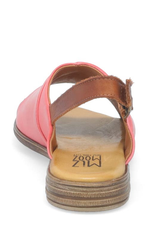 Miz Mooz Dorothy Slingback Flat In Azalea