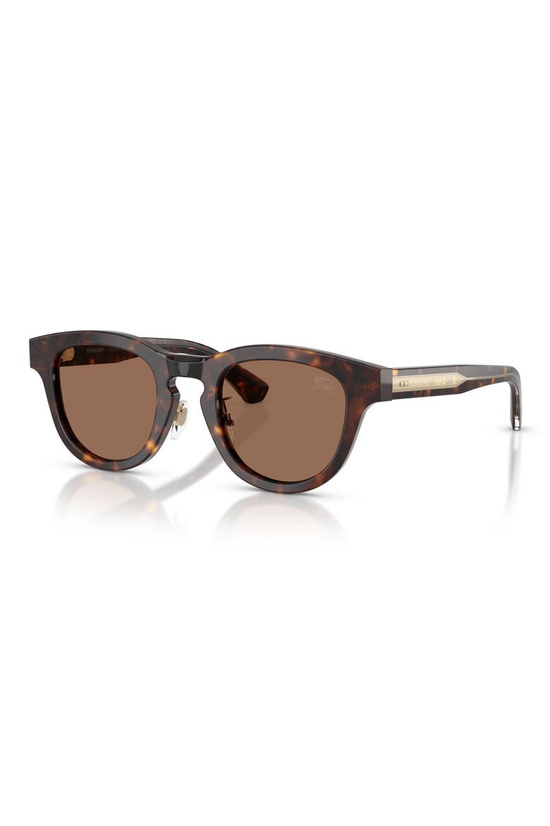 48mm Phantos Sunglasses, Alternate, color, DARK HAVANA / DARK BROWN