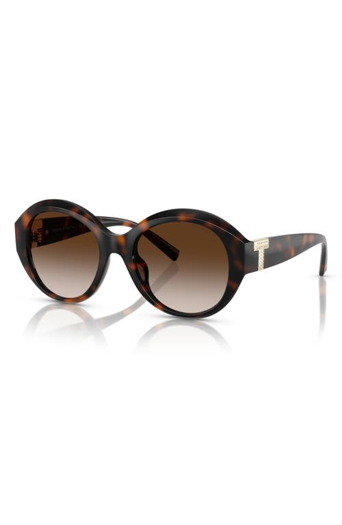 Tiffany & Co . 53mm Gradient Round Sunglasses In Havana
