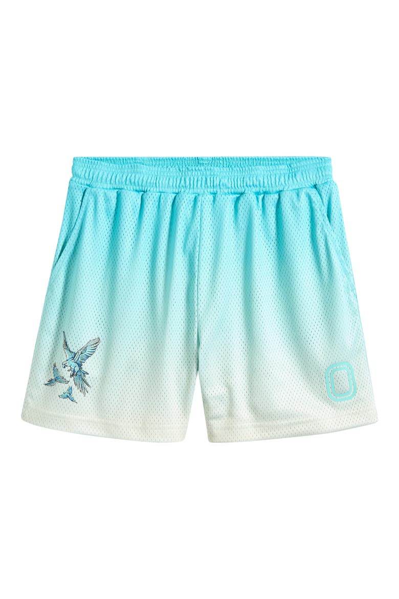 Summer Mesh Shorts, Alternate, color, BLUE
