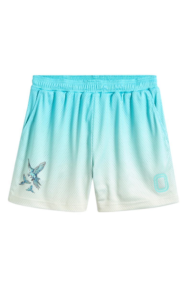 OVERTIME Summer Mesh Shorts, Alternate, color, Blue