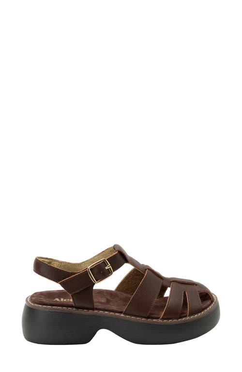 Alegria By Pg Lite Ingrid Ankle Strap Platform Fisherman Sandal In Brown