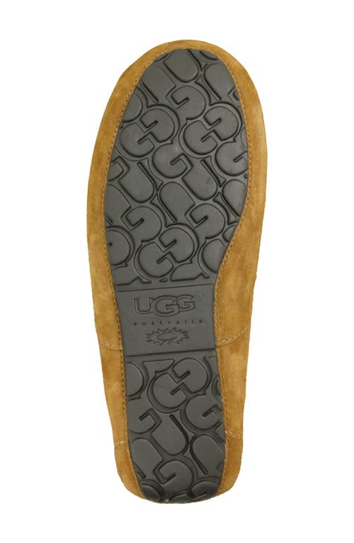 Ugg(r) Ascot Slipper In Brown