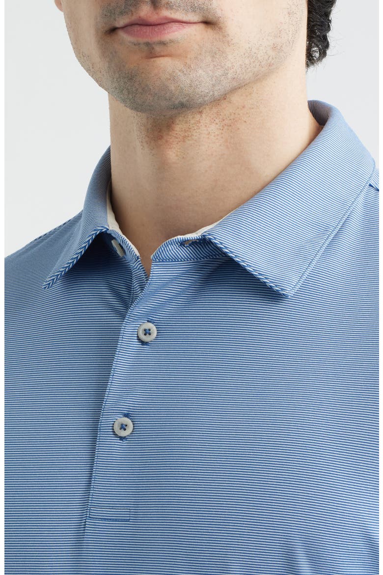 Micro Stripe Polo, Alternate, color, REGAL