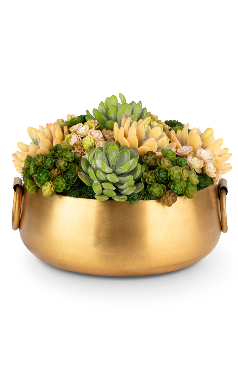 CocoBella Blaise Succulent Arrangment, Main, color,