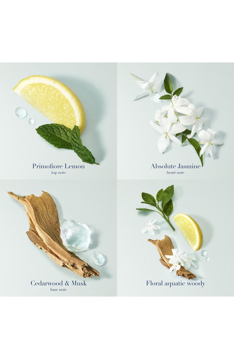 Emporio Armani Acqua di Gioia Eau de Parfum Set (Limited Edition) $172 Value, Alternate, color,