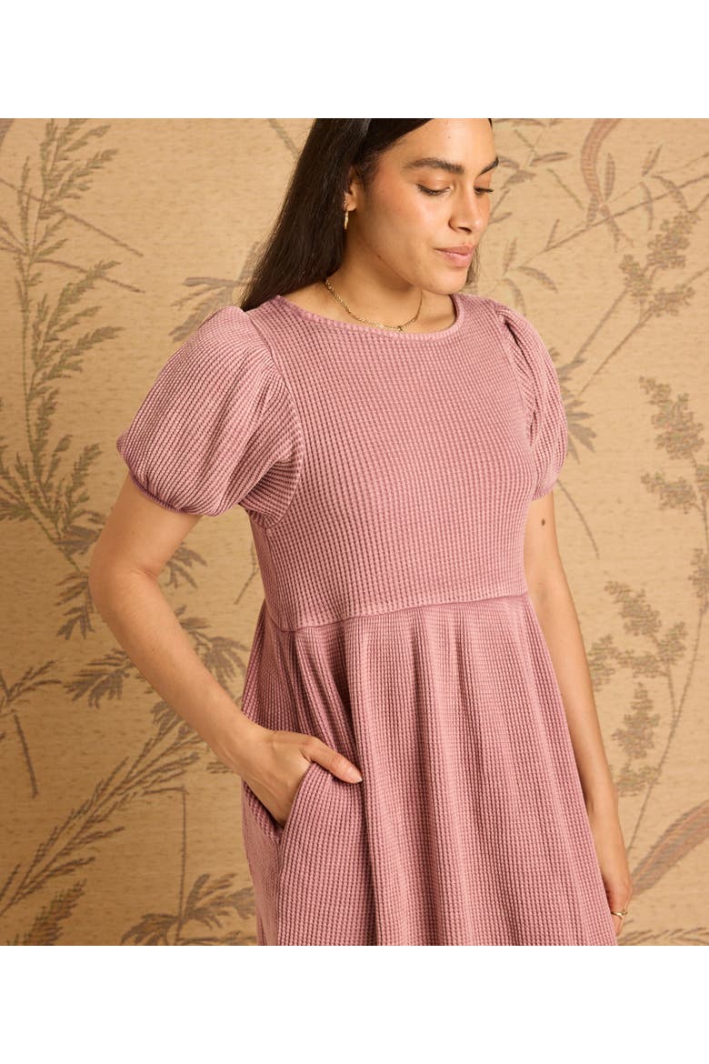 Ethel Dress, Alternate, color, Blossom