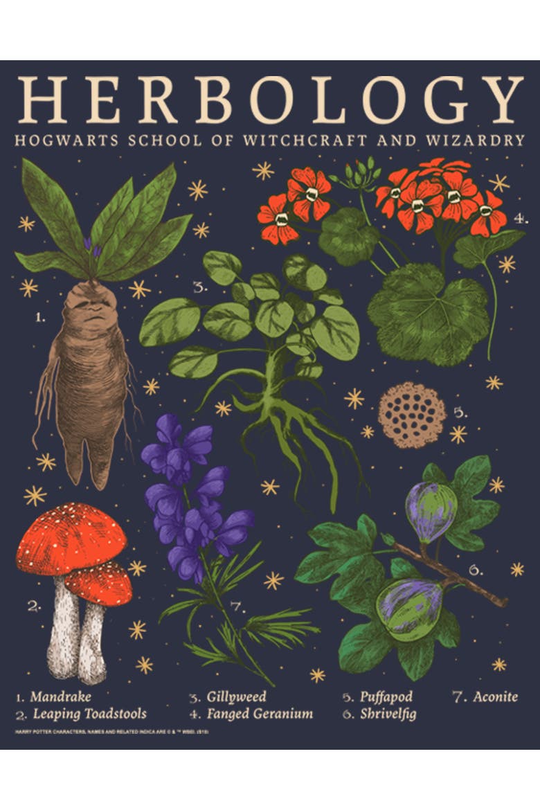 Women's Harry Potter Hogwarts Herbology  Graphic T-Shirt, Alternate, color, Navy Blue