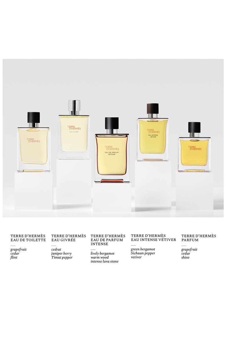 Terre d'Hermès - Eau de Parfum Intense, Alternate, color, REGULAR