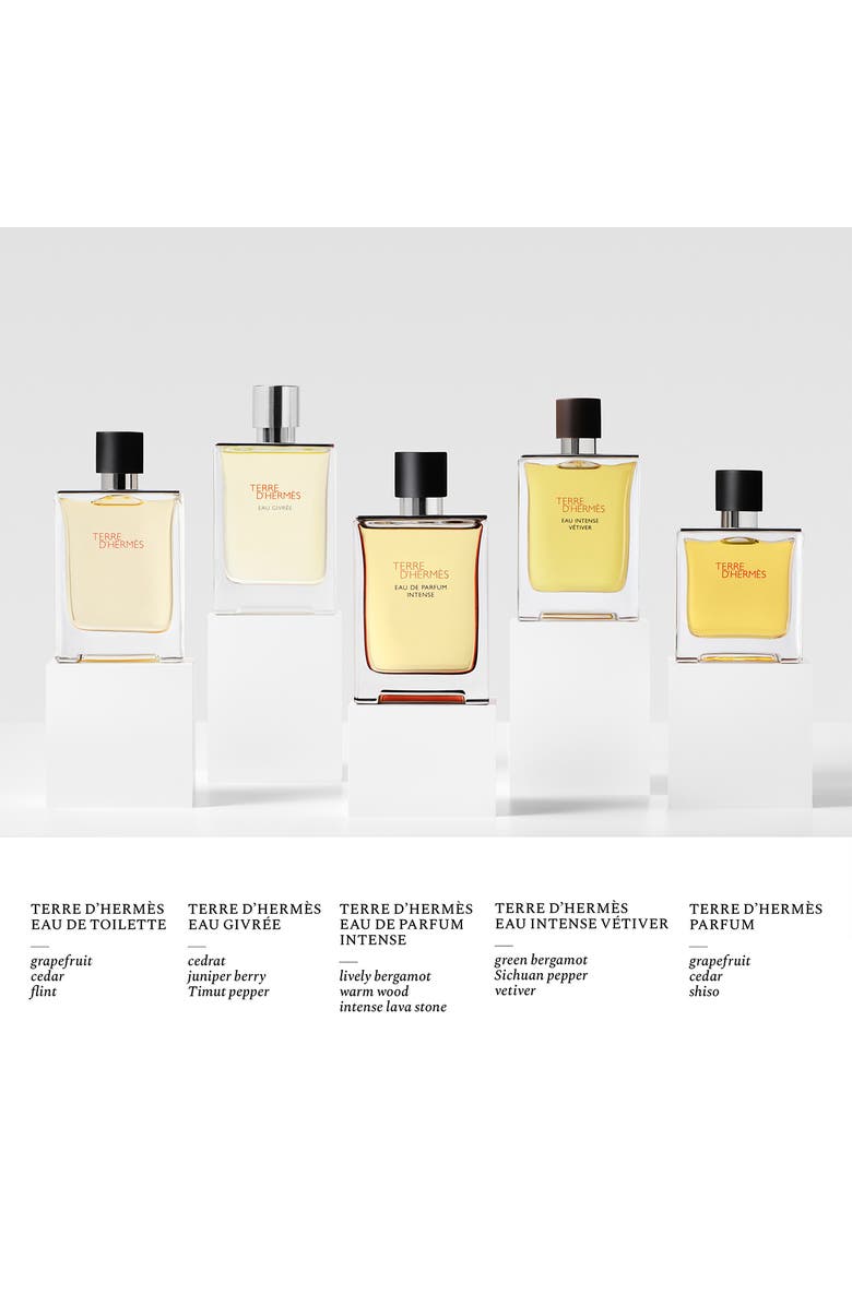 Hermès Terre d'Hermès - Eau de Parfum Intense, Alternate, color, Regular
