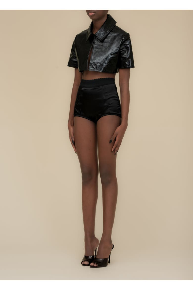 Seraphim Satin Stretch-Fit Knickers, Alternate, color, Black