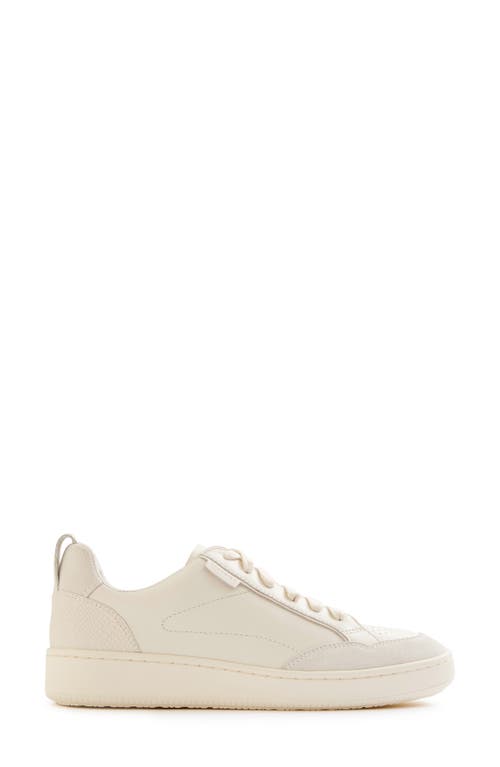 Frankie4 Farren Sneaker