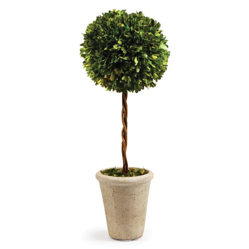 Napa Home & Garden 23.25in Single Ball Topiary In Green