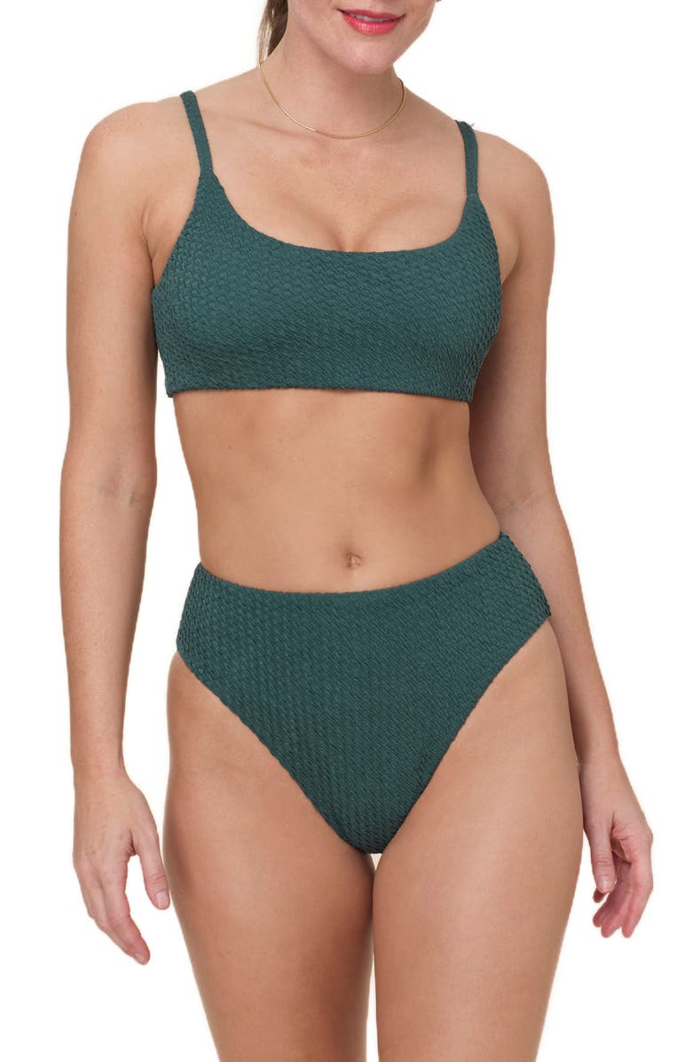 Andie The '90s High Waist Bikini Bottoms, Alternate, color, Seaweed