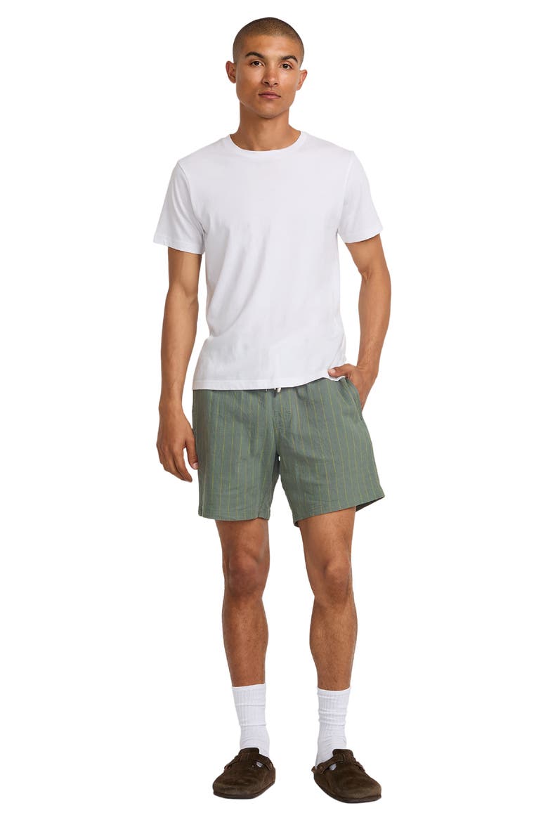 Sands Stripe Regular Fit Shorts, Alternate, color, SAGE LEAF