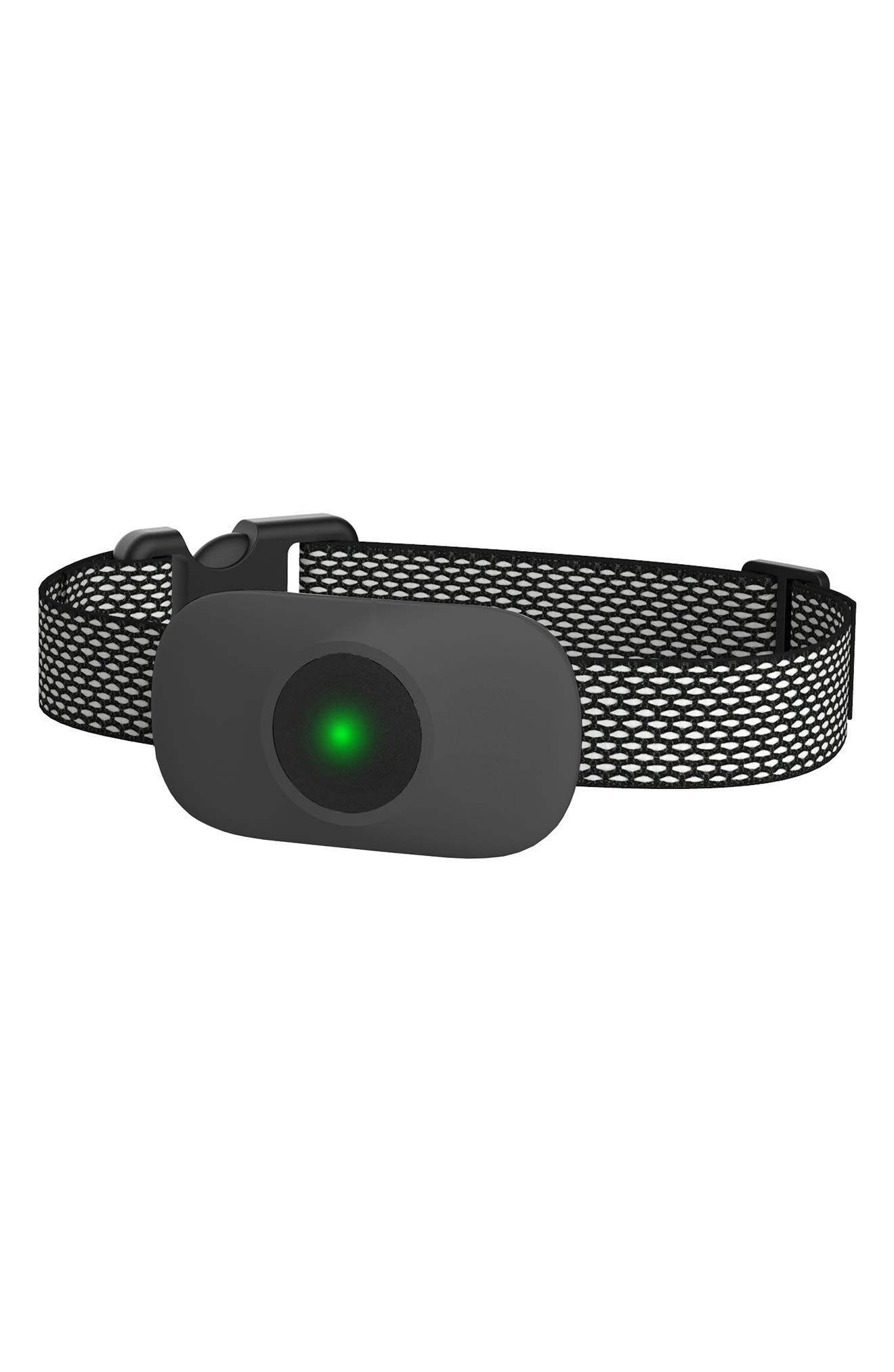 PET LIFE Ellipse 1-to-3 Dog 550-Yard Range 16-Level Vibration Tone and Stimulation Training Collar