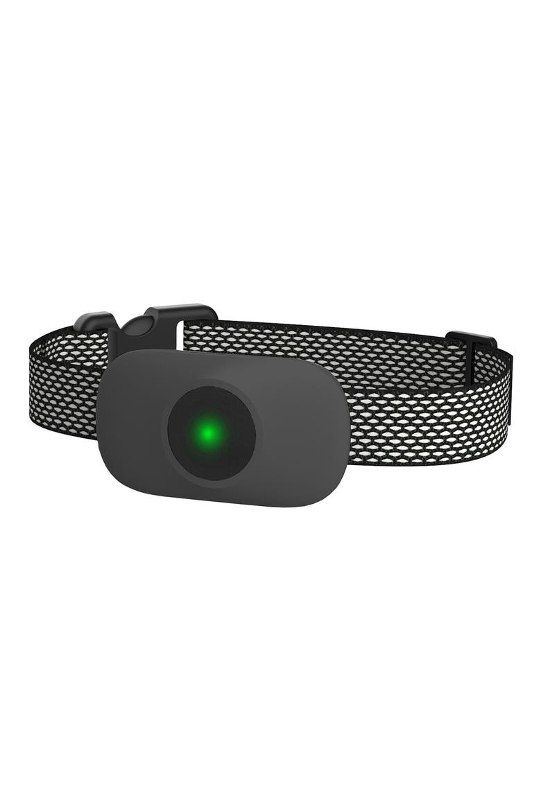 Ellipse 1-to-3 Dog 550-Yard Range 16-Level Vibration Tone and Stimulation Training Collar, Main, color, BLACK