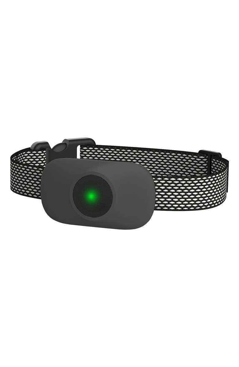 PET LIFE Ellipse 1-to-3 Dog 550-Yard Range 16-Level Vibration Tone and Stimulation Training Collar, Main, color, 