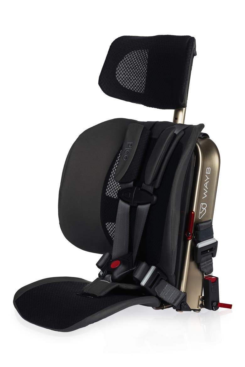 Pico Forward Facing Car Seat, Alternate, color, EARTH
