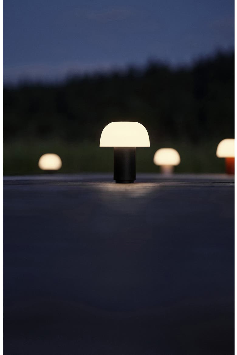 Harvest Moon Indoor/Outdoor Lamp, Alternate, color, BLACK
