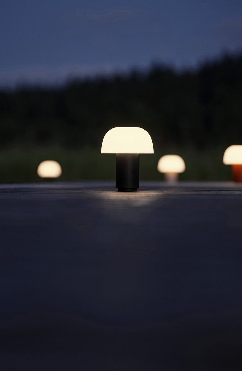 Zone Denmark Harvest Moon Indoor/Outdoor Lamp, Alternate, color, Black