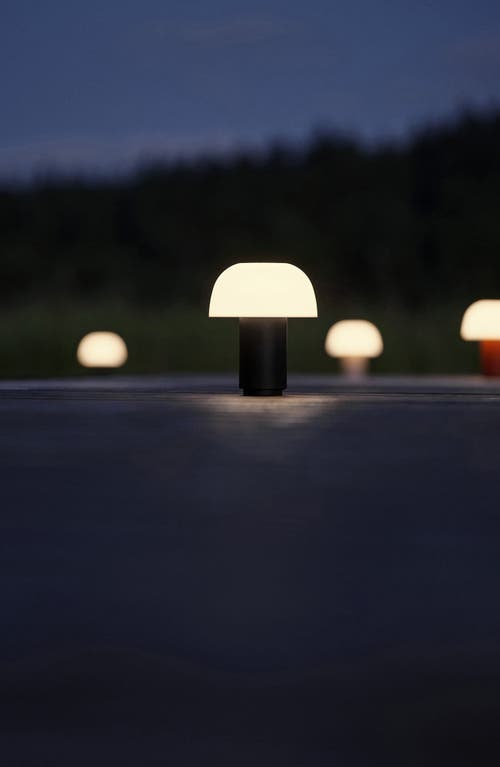 Zone Denmark Harvest Moon Indoor/outdoor Lamp In Black