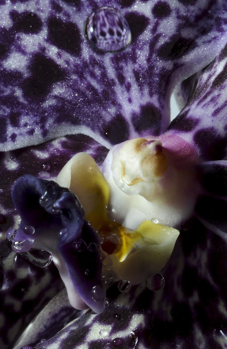 Dries Van Noten Soie & Amber Body Lotion, Alternate, color, Regular