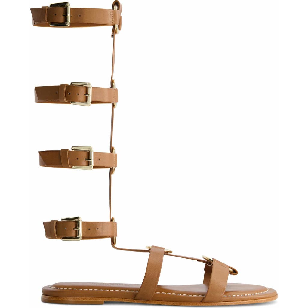 BERNARDO FOOTWEAR BERNARDO FOOTWEAR HERO GLADIATOR SANDAL