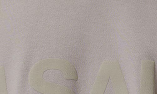 Allsaints Biggy Logo Print Relaxed Fit Sweatshirt In Chestnut Brown
