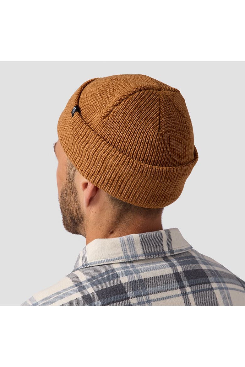 Capra Rolled Beanie, Alternate, color, Bistre