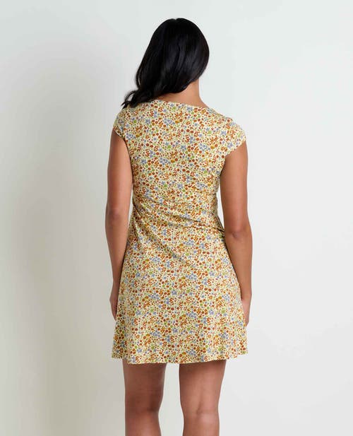 Toad And Co Toad & Co Rosemarie Dress In Multi