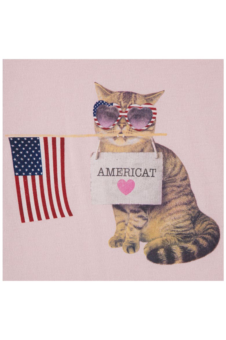Kids' Americat Graphic Cotton Blend T-Shirt, Alternate, color, CHALK PINK